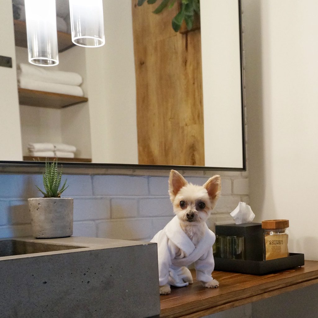 Melbourne to house one of Australia's first pet-friendly ...