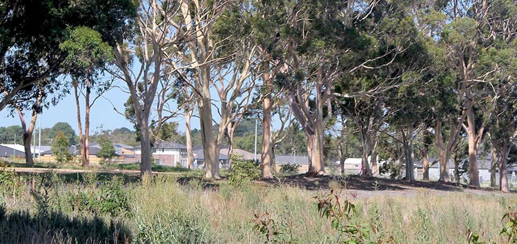 National Resources Conservation League lists $20 million-plus Cranbourne West building block