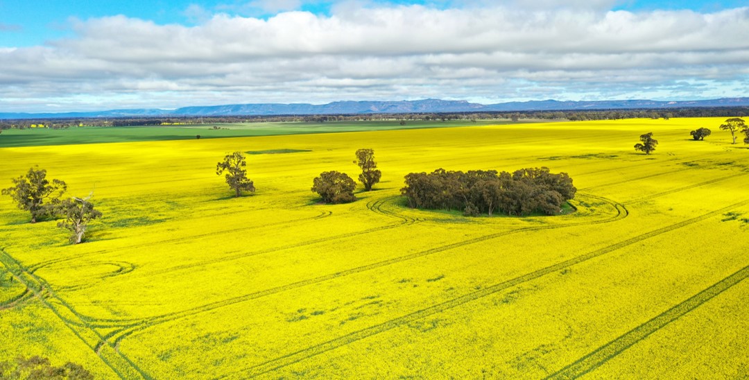 Neighbour buys Stawell farm realestatesource